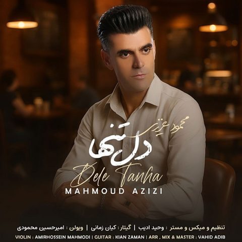 دانلود آهنگ محمود عزیزی دل تنها دانلود آهنگ محمود عزیزی دل تنها