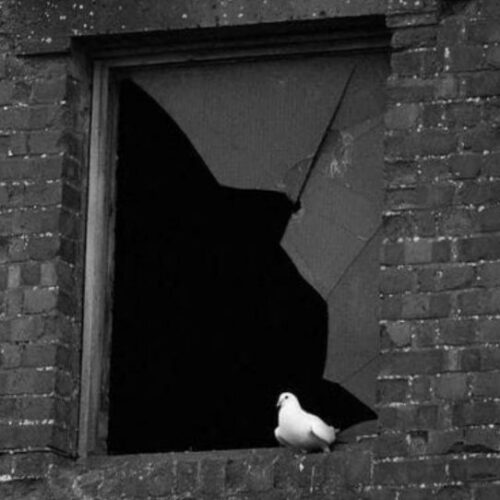 دانلود آهنگ جواد سیلی دانلود آهنگ جواد سیلی