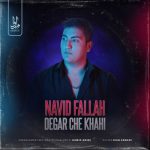 دانلود آهنگ نوید فلاح دگر چه خواهی